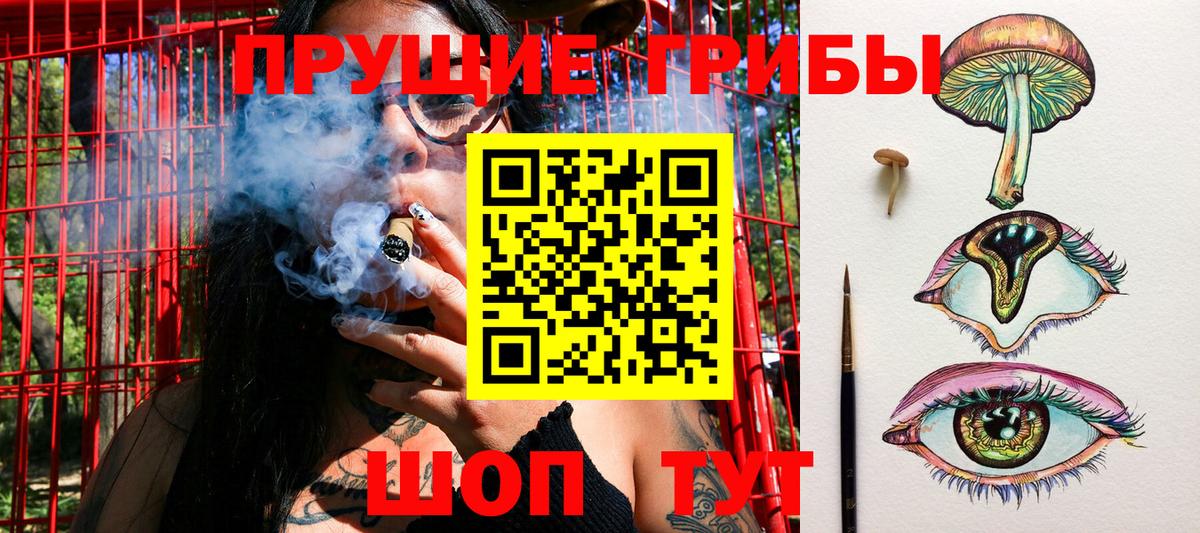 Кимовск  Псилоцибиновые грибы мухоморы  Вход с VPN 